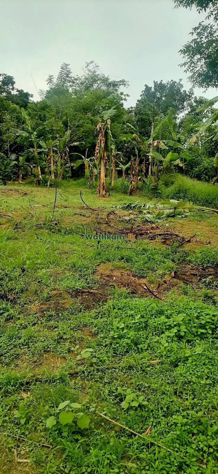 13.5 Perch Kurawalana, Pansilu uyana, Nittambuwa - photo 1