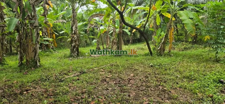 Land for sale in Biyagama - photo 1