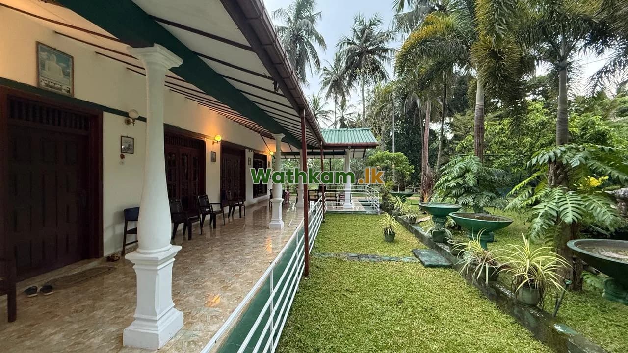 🏡 වටිනා දේපළක් විකිණීමට – හිඟුරක්ගොඩ / මින්නේරිය 🌴 අක්කර 1.5ක පොල් ඉඩමක් සමඟ නිවසක් - photo 1