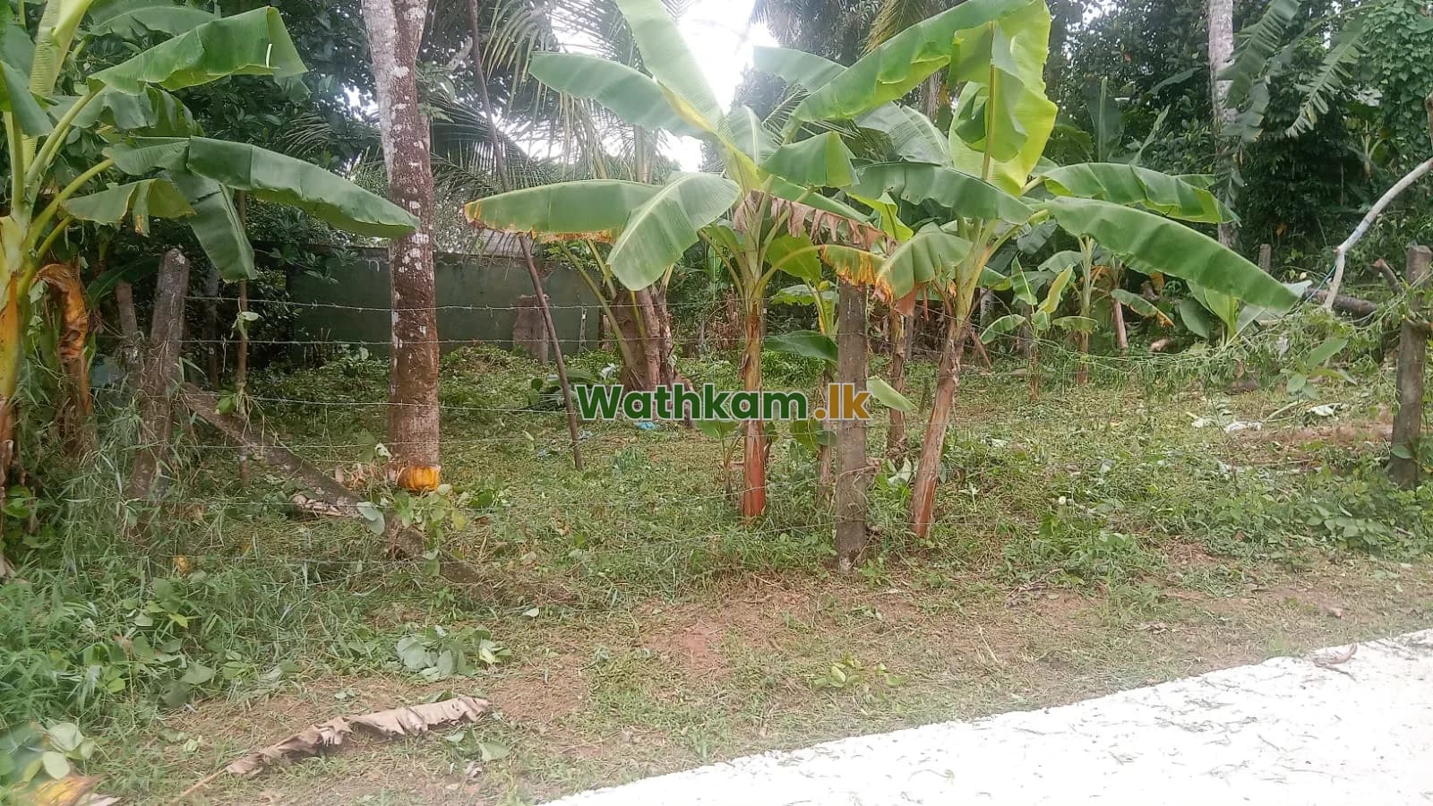 Land for sale in Homagama, colombo - 10 perch sale kahathuduwa koralaima-Weniwelkola