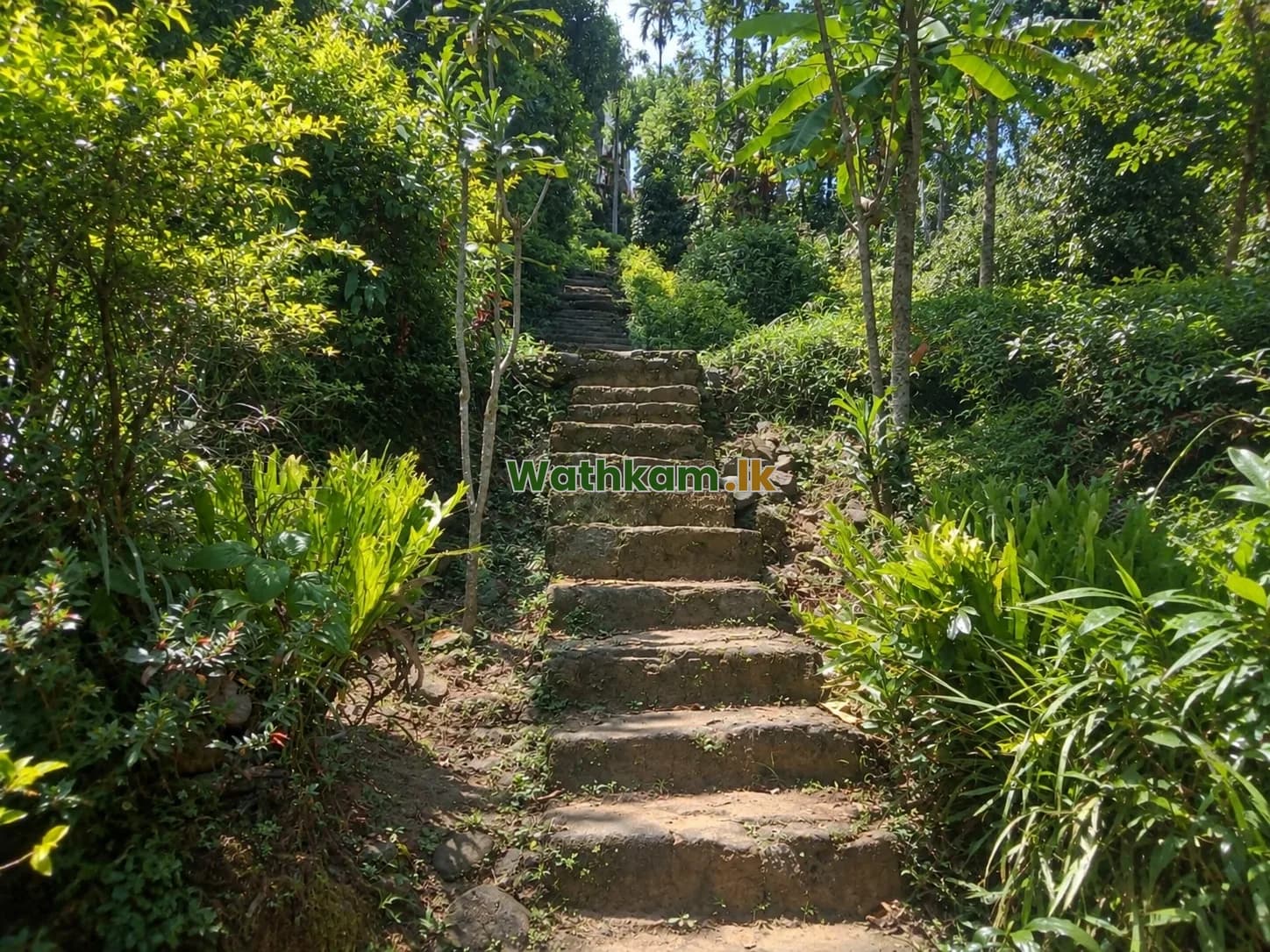 25 perch land for sale in rikillagaskada - photo 1