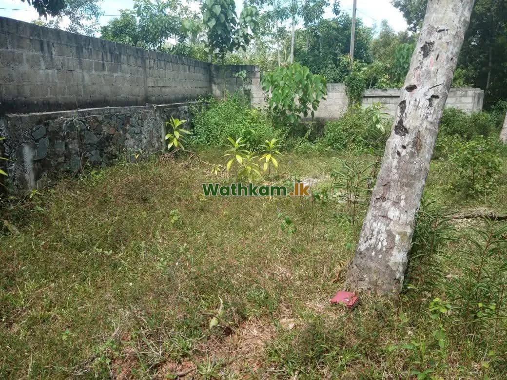 පර්චස් 14.5 ක හිස් ඉඩමක් විකිනීමට ඇත. - photo 1