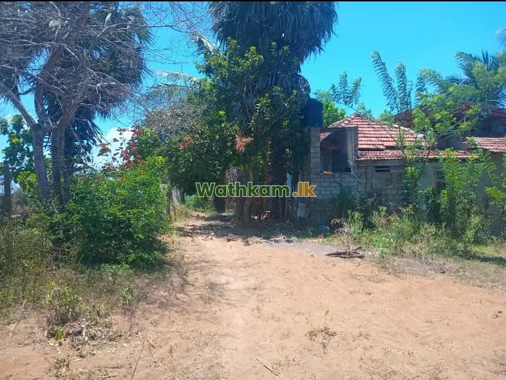 මුහුද ආසන්නයේ වටිනා ඉඩමක් විකිණීමට – පානම ,ආරුගම්බේ - photo 1