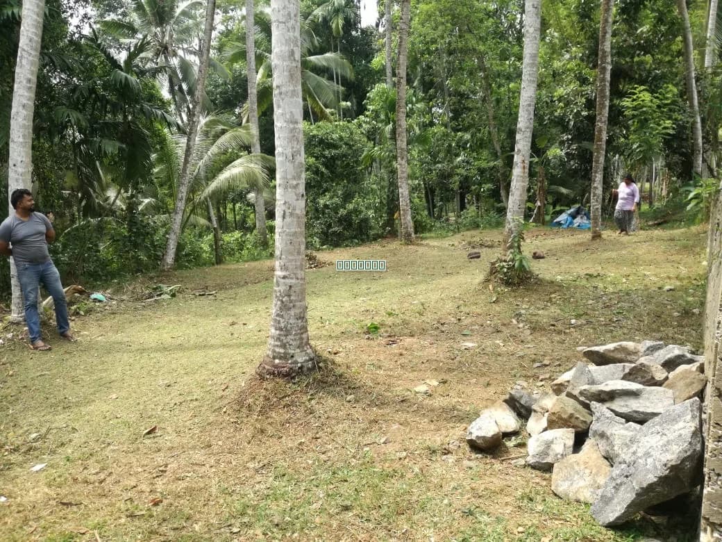 10 perch land in Prime location - photo 1